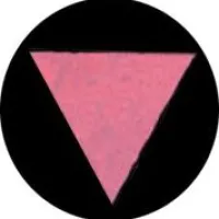 The Pink Triangle- Gays in the Holocaust 