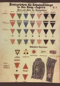 Nazi Concentration Camp Triangle Classification Flyer