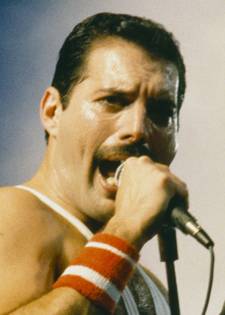 Freddie mercury проект