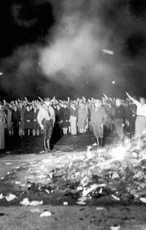 Nazi's Burning LGBTQ Materials During the Third Reich