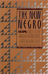 The New Negro Book Jacket