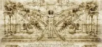 Leonardo da Vinci's Naked Man Drawing