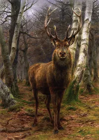 Rosa Bonheur's King of the Forest (1878)