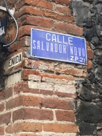 Salvador Novo Street in Mexico City