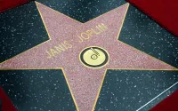 Janis Joplin Hollywood Walk of Fame Star For Recording