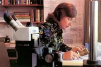 Lynn Conway at the Xerox PARC Laboratory in 1977